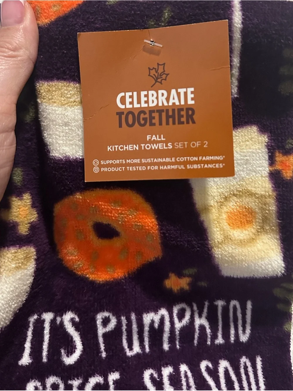 Celebrate Together Fall Kitchen Towels - Set of 2